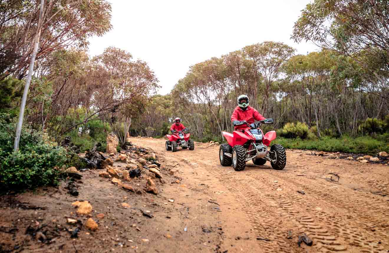 Visite el sur de Australia: actividades al aire libre para hacer en la isla Canguro