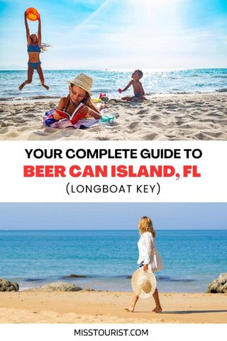 PIN 2 Guía de la isla de latas de cerveza